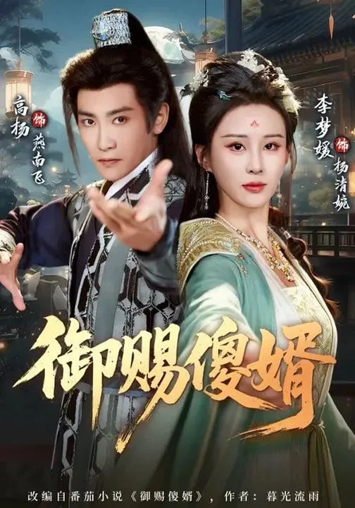 御赐傻婿